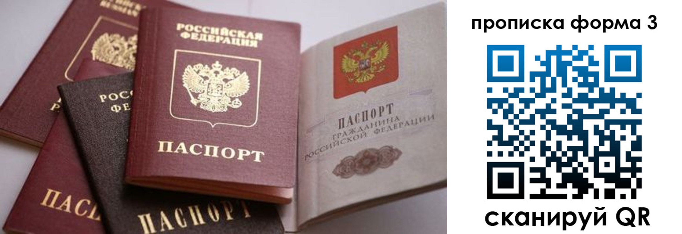 прописка для школы в Амурской области